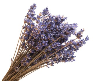 Beyaz arka plan üzerinde izole kuru lavanta