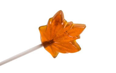 lolipop akçaağaç yaprağı beyaz arka plan üzerinde izole Stick