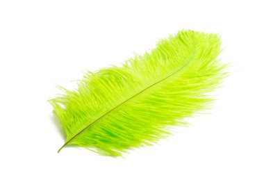 Beyaz arka plan üzerinde izole devekuşu renkli kalem