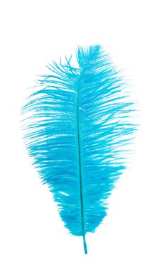 Beyaz arka plan üzerinde izole devekuşu renkli kalem