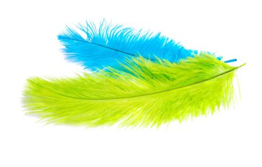 Beyaz arka plan üzerinde izole devekuşu renkli kalem