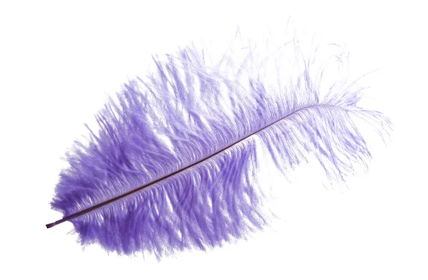 白い背景に分離されたダチョウ色付きのペン — ストック写真