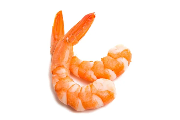 Shrimp Isoliert Auf Weißem Hintergrund — Stockfoto