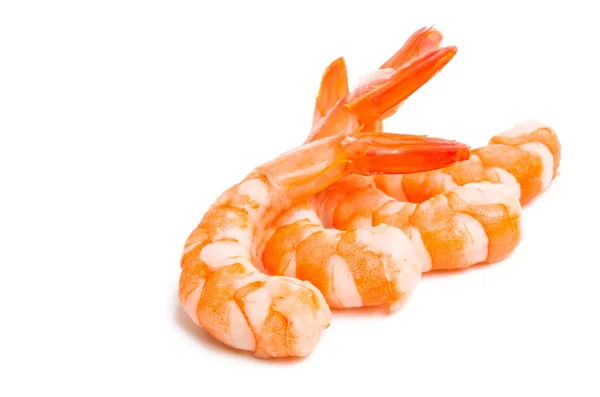 Shrimp Isoliert Auf Weißem Hintergrund — Stockfoto