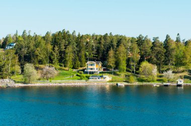 İsveçli fiyort manzara bahar