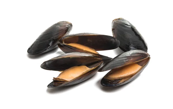 Cozze Isolate Sfondo Bianco — Foto Stock