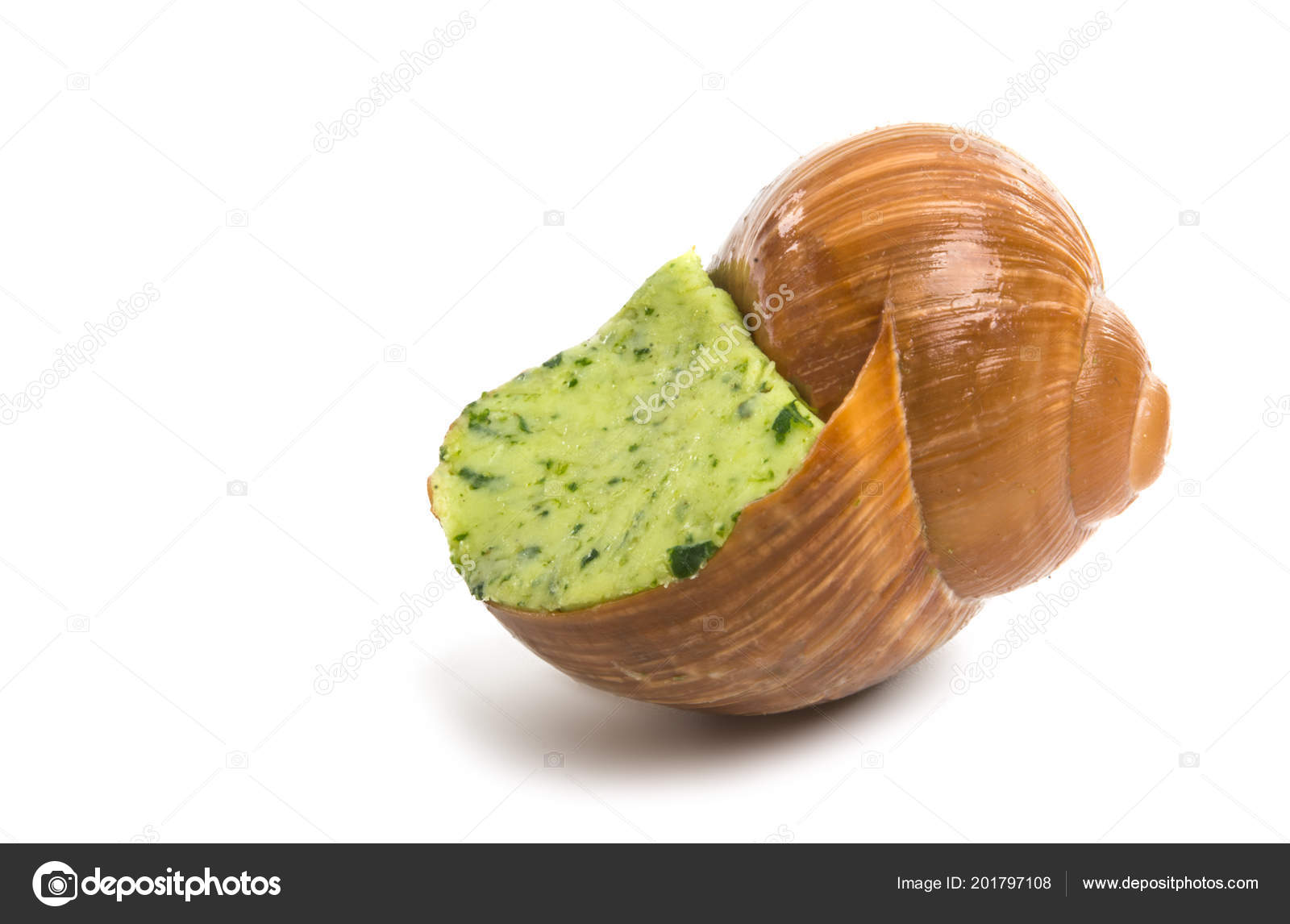 stuffed snail