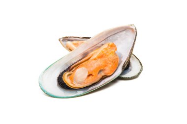 Beyaz arkaplanda yalıtılmış midyeler