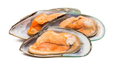 Beyaz arkaplanda yalıtılmış midyeler