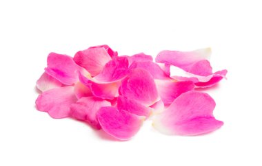 Beyaz arka plan üzerinde izole pembe taç yaprakları