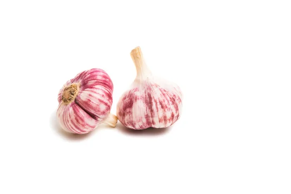 Garlic Isolated White Background — Stock Photo, Image