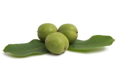 yeşil ceviz beyaz arkaplanda izole