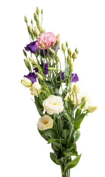 Boeket Van Bloemen Eustoma Geïsoleerd Witte Achtergrond — Stockfoto