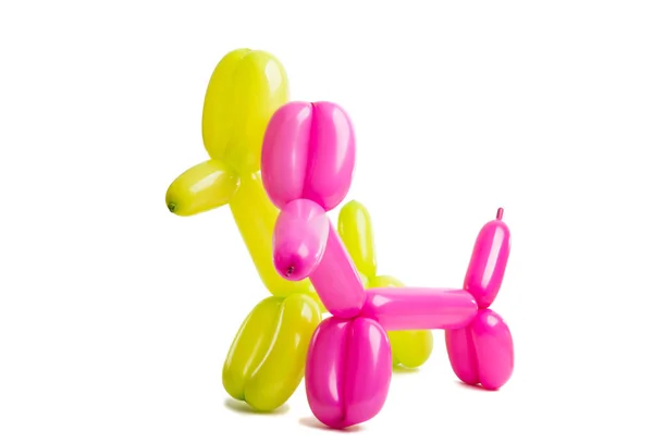 Hračka Pro Psy Balónu Izolovaných Bílém Pozadí — Stock fotografie