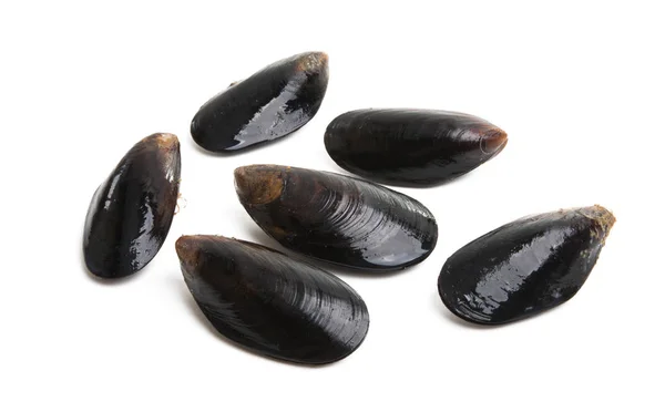 Cozze Isolate Sfondo Bianco — Foto Stock