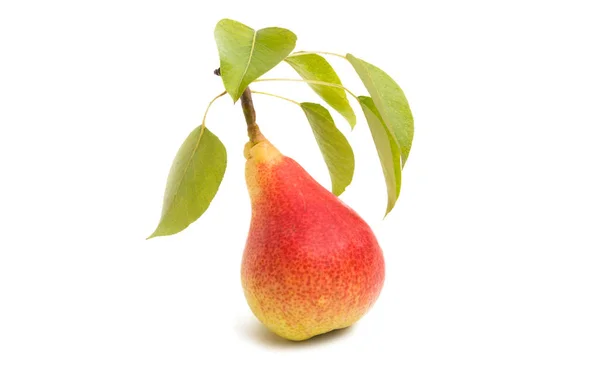 美しい熟した梨の葉に孤立した白い背景 — ストック写真