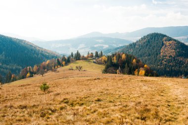 Güzel sonbahar manzarası dağlarda