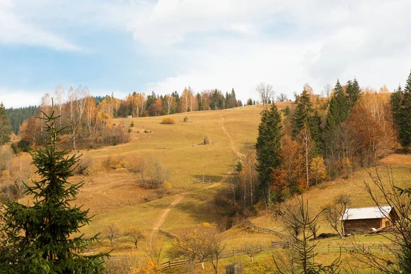 Schöne Herbstlandschaft Den Bergen — Stockfoto