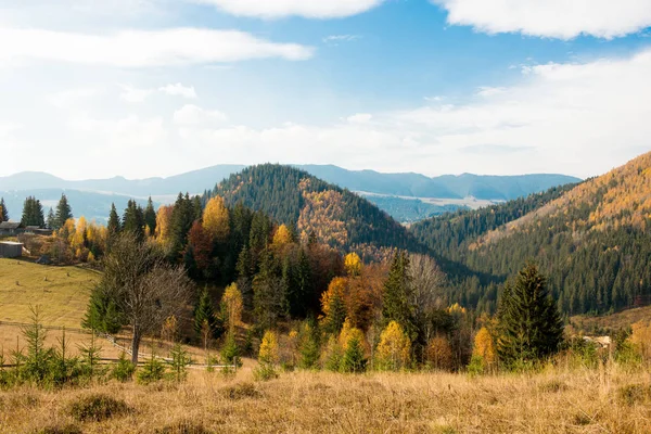 Hermoso Paisaje Otoño Las Montañas — Foto de Stock