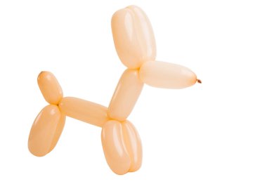 beyaz bir arka plan üzerinde izole bir balon köpekten