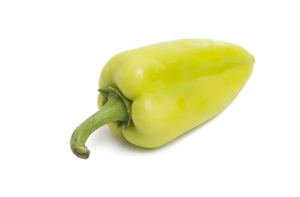 Peper Geïsoleerd Witte Achtergrond — Stockfoto