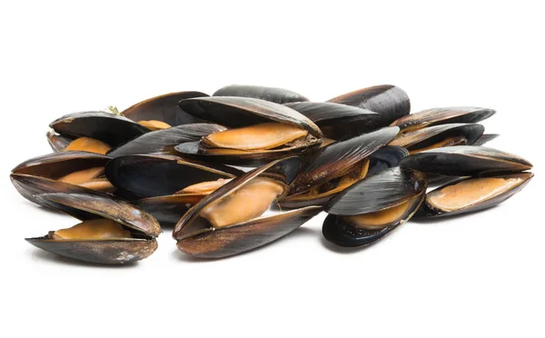 Cozze Isolate Sfondo Bianco — Foto Stock