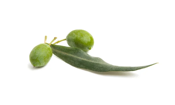 Branch Green Olives Isolated White Background — Stock Photo, Image