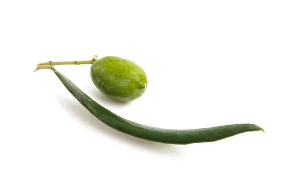 Branche Aux Olives Vertes Isolées Sur Fond Blanc — Photo