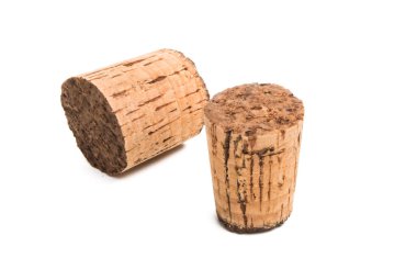 mantar ağacı beyaz arkaplanda izole edildi