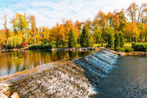 Outono Paisagem Belo Parque — Fotografia de Stock