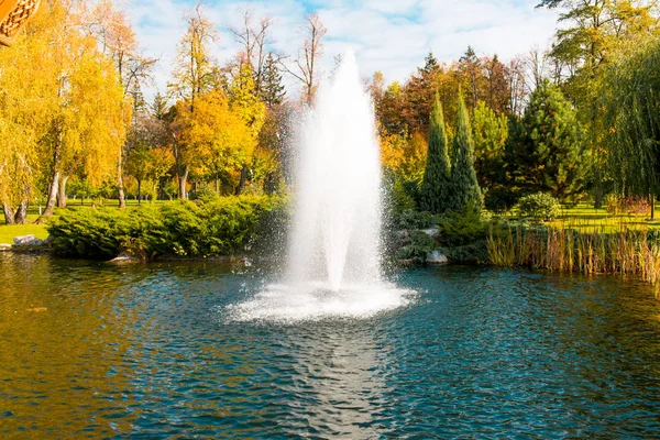 Podzimní Krajina Krásném Parku — Stock fotografie