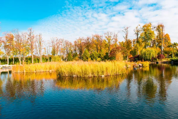 Podzimní Krajina Krásném Parku — Stock fotografie