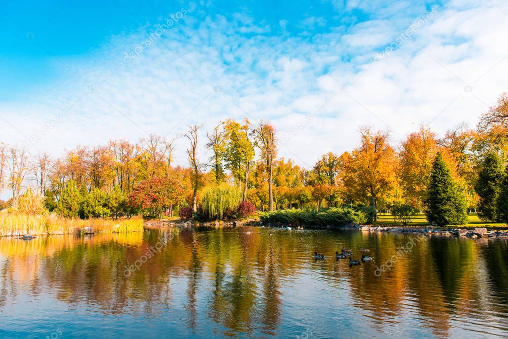 autumn landscape in a beautiful park