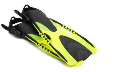 Beyaz arka plan üzerinde izole palet