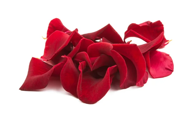 Okvětní Lístky Růží Izolované Bílém Pozadí — Stock fotografie