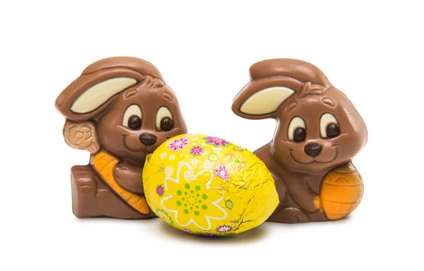 Choklad Kanin Isolerad Vit Bakgrund — Stockfoto