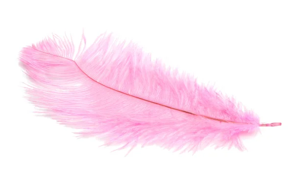 Colored Ostrich Feathers Isolated White Background — Stock Photo, Image