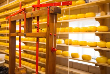 Hollanda peynir fabrikası Dükkanı 