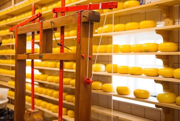 オランダのチーズ工場直売店 — ストック写真