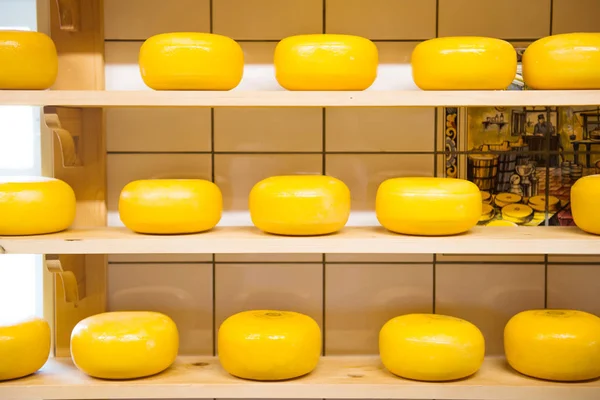 Dutch Cheese Factory Shop — Stock Photo, Image
