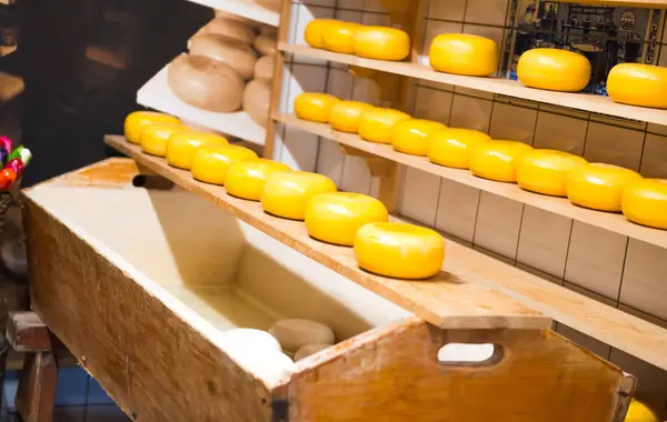 Dutch Cheese Factory Shop — Stock Photo, Image