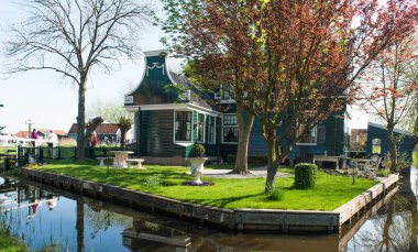 Hollandalı bir köyde bahar