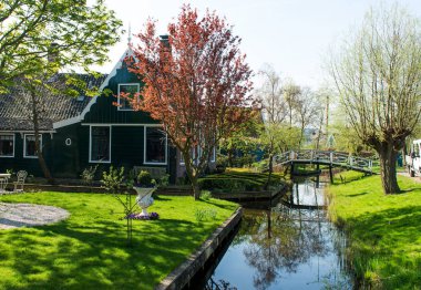 Hollandalı bir köyde bahar