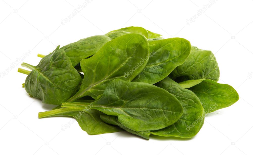 spinach leaves isolated 