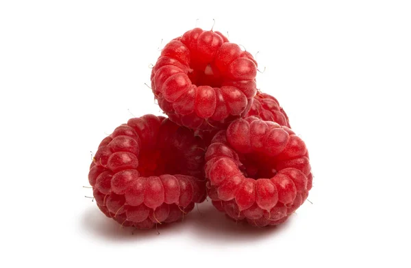 Raspberries isolated — Stock Photo, Image