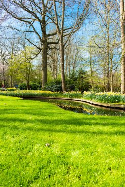 Erken Bahar park peyzaj
