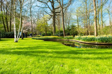 Erken Bahar park peyzaj
