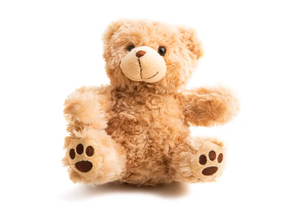 Teddybeer zacht geïsoleerd — Stockfoto