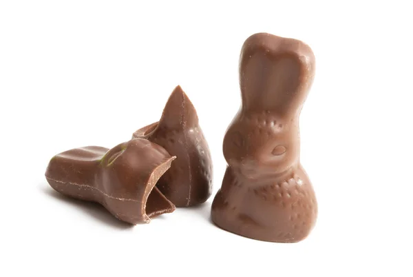 Choklad kanin isolerade — Stockfoto