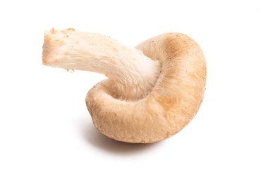 İzole shiitake mantar